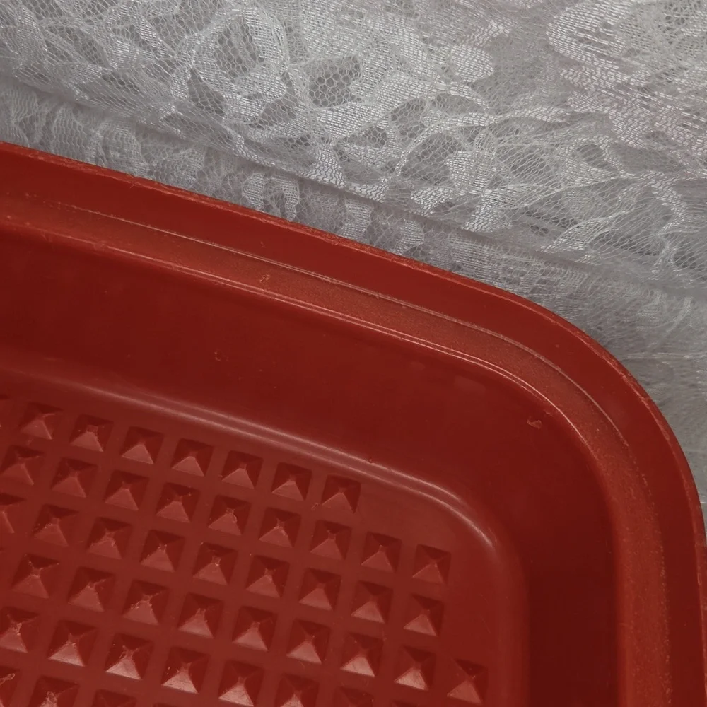 Tupperware: Marinade Container - Picture 11 of 13